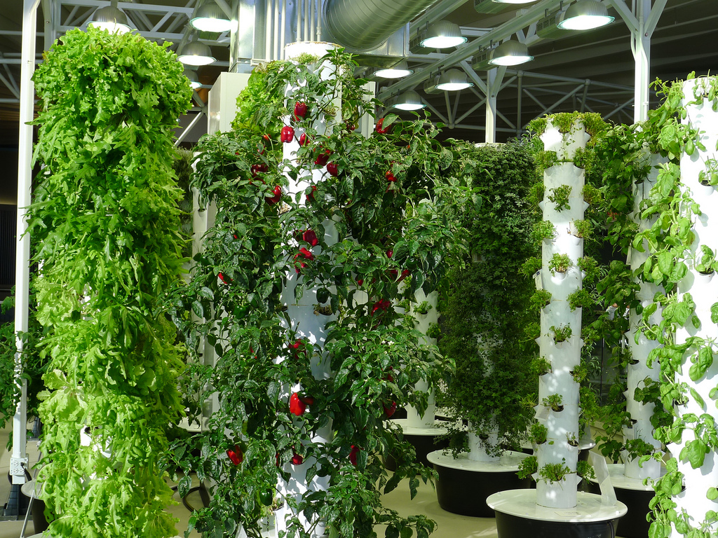 how to start your organic vertical farming