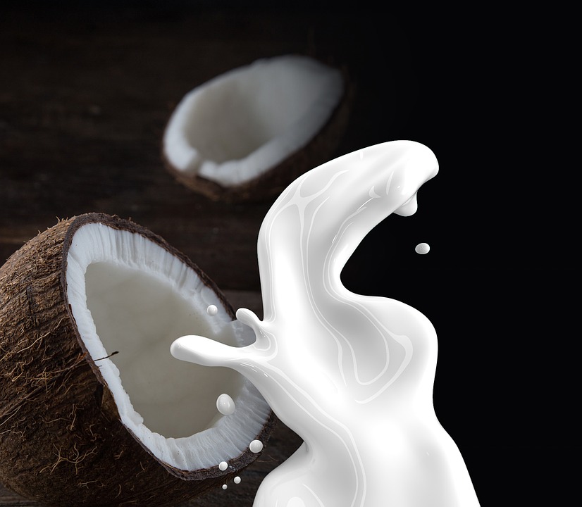 coconut milk business plan