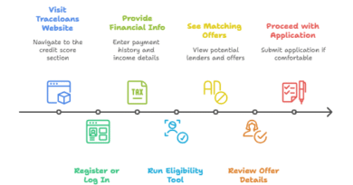 Traceloans Credit Score and Eligibility Check Process